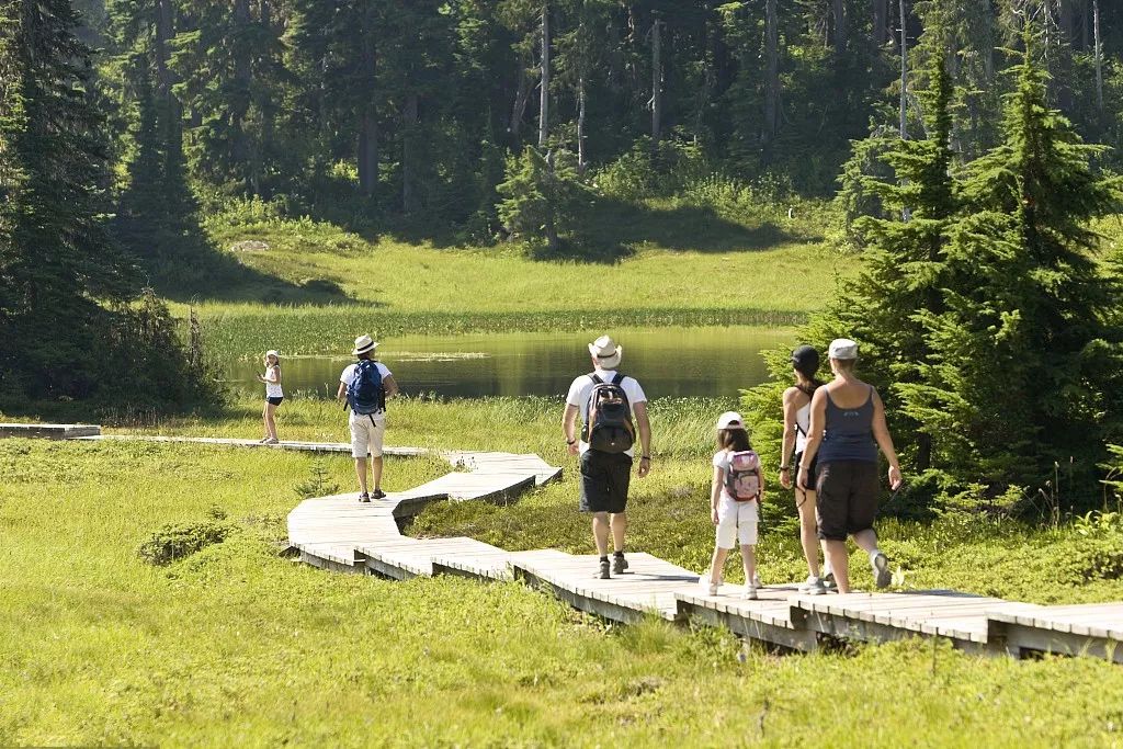 老年養生指南_老年養生方法_老年人養生方式