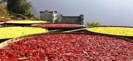 吉祥如意健身養生舞背向_吉祥如意養生舞教學_吉祥如意健身養生