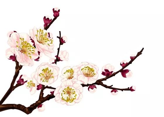 二十四節(jié)氣順時養(yǎng)生法