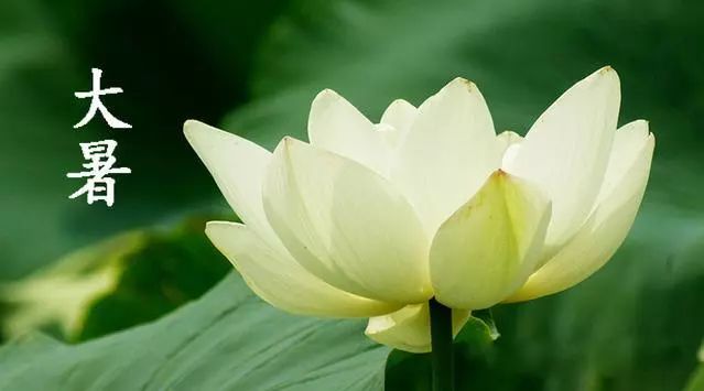 大暑時節話養生