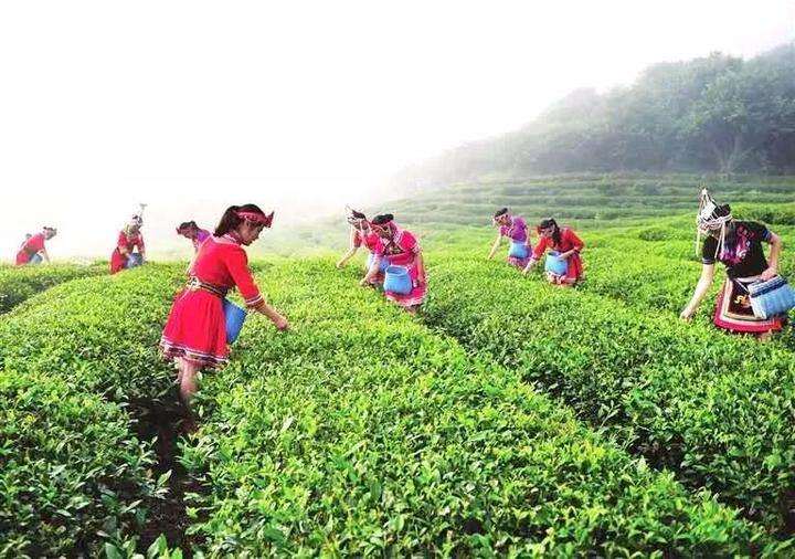 養(yǎng)生拂塵36式背面教學(xué)_養(yǎng)生拂塵全套背向演練_拂塵養(yǎng)生