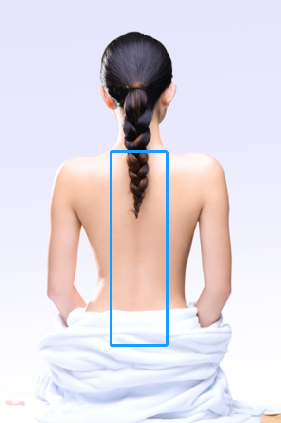 養生抗衰老指南_如何養生防止衰老_養生的概念與衰老機制